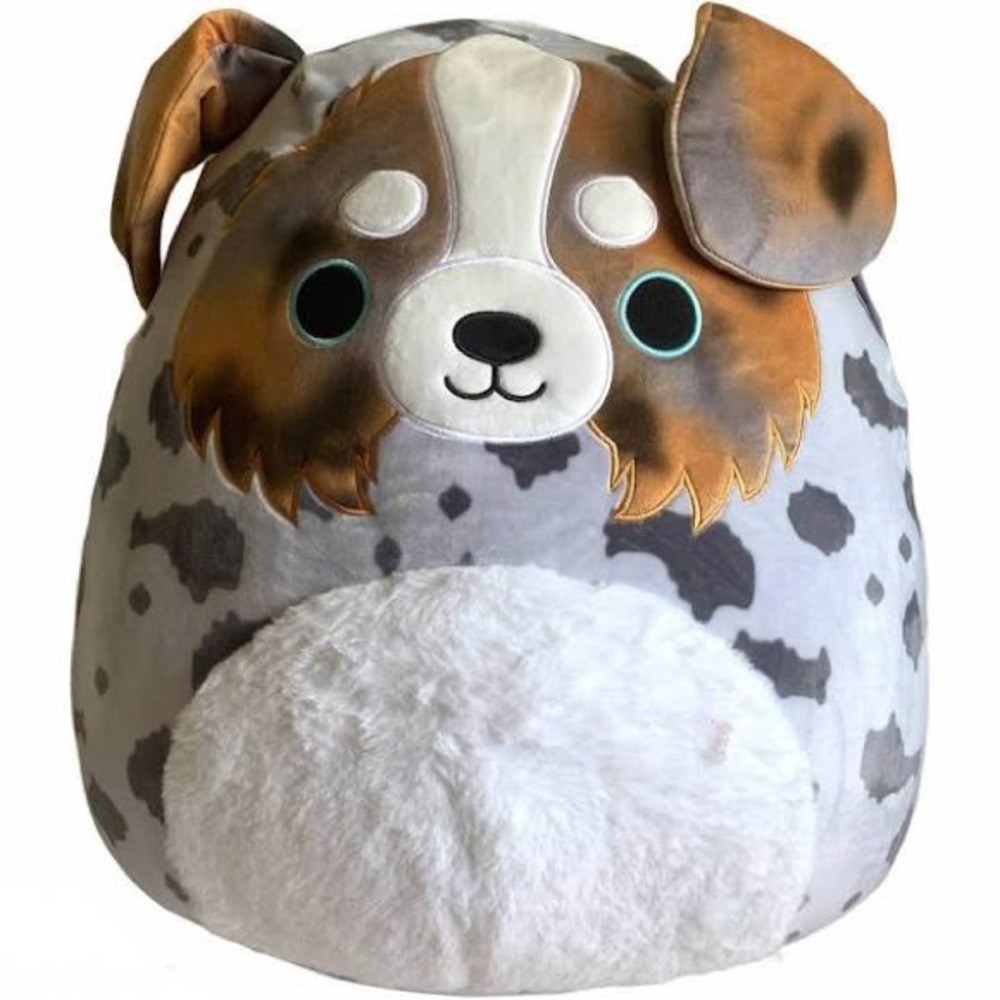 Australian shephard 10” squishmallow